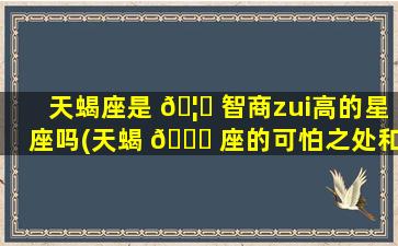 天蝎座是 🦍 智商zui
高的星座吗(天蝎 🐛 座的可怕之处和高智商)